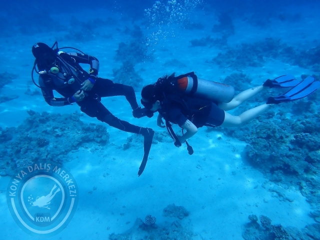 13-18 Mayıs Sharm