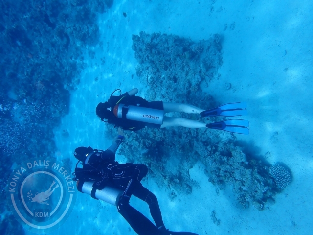13-18 Mayıs Sharm