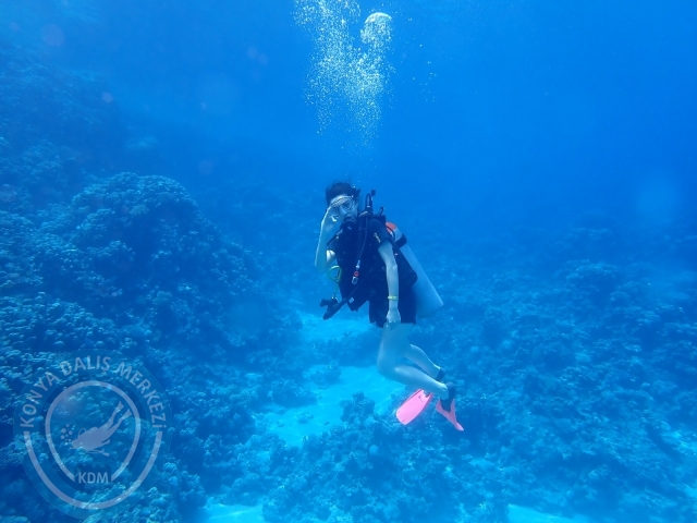 13-18 Mayıs Sharm