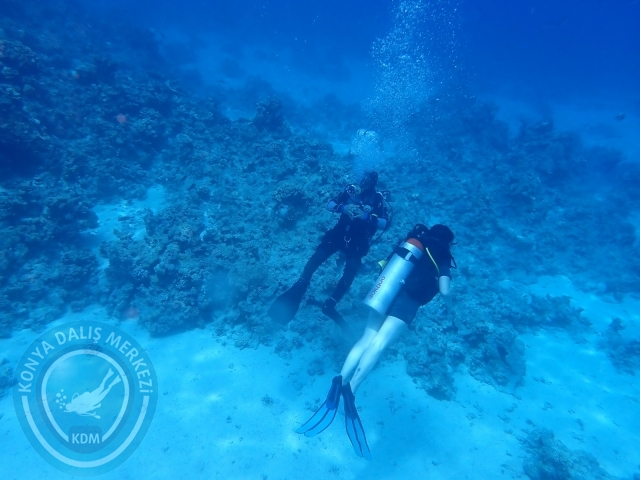 13-18 Mayıs Sharm