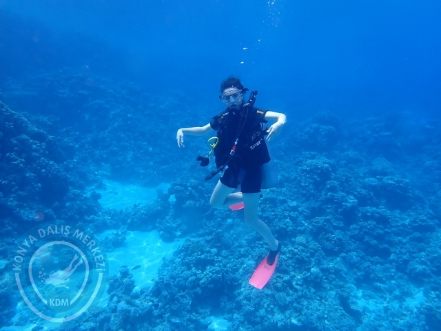 13-18 Mayıs Sharm