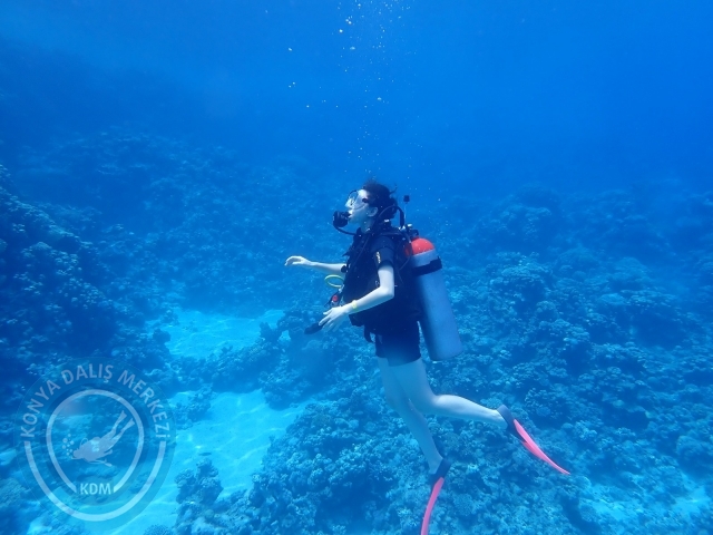 13-18 Mayıs Sharm