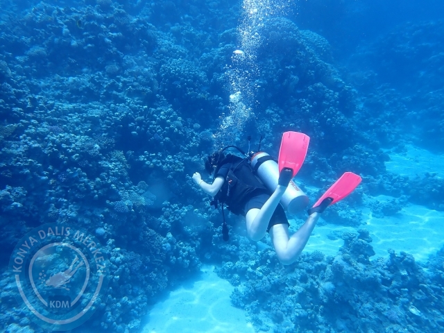 13-18 Mayıs Sharm
