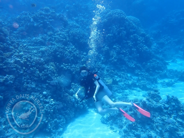13-18 Mayıs Sharm