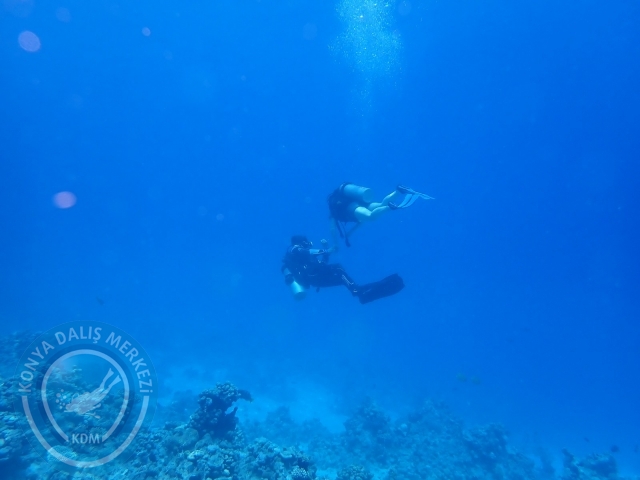 13-18 Mayıs Sharm