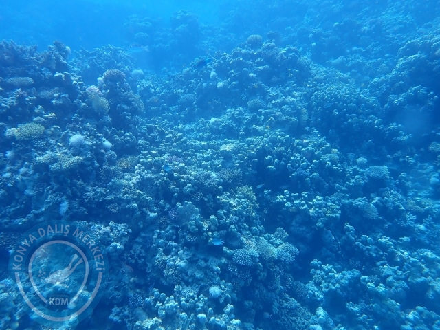 13-18 Mayıs Sharm