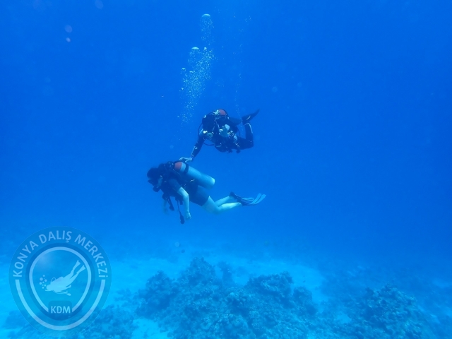 13-18 Mayıs Sharm