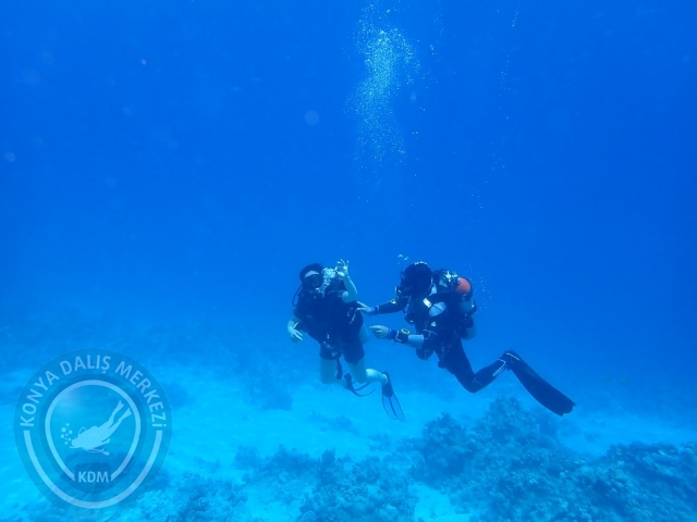 13-18 Mayıs Sharm