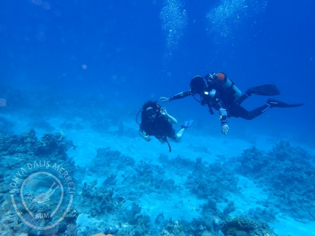 13-18 Mayıs Sharm