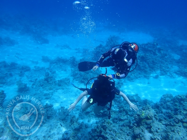 13-18 Mayıs Sharm