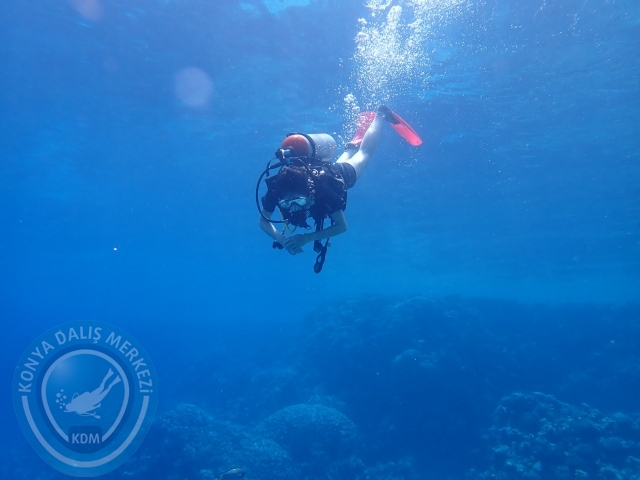 13-18 Mayıs Sharm