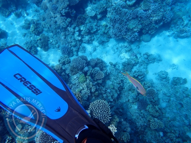 13-18 Mayıs Sharm