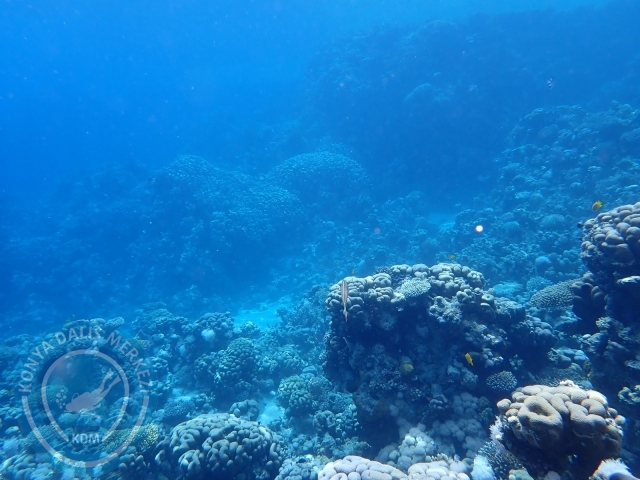13-18 Mayıs Sharm