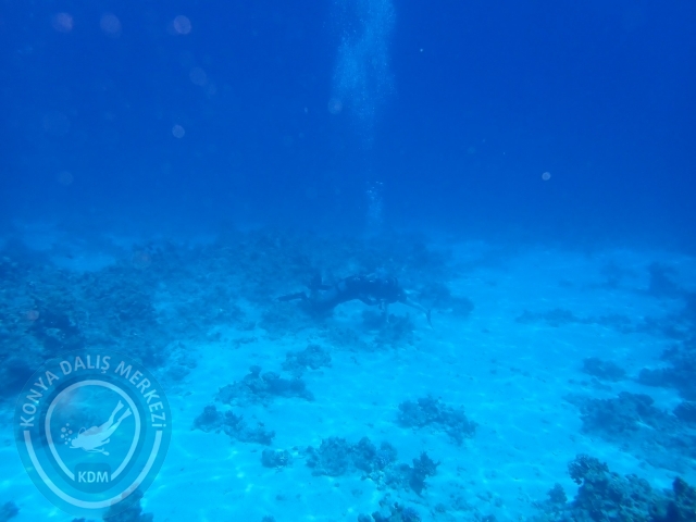 13-18 Mayıs Sharm