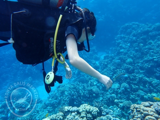 13-18 Mayıs Sharm