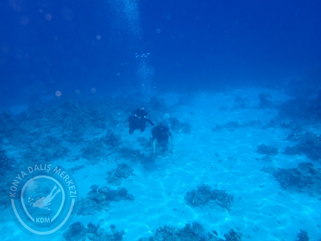 13-18 Mayıs Sharm