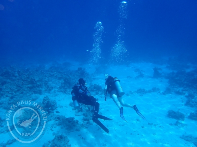 13-18 Mayıs Sharm