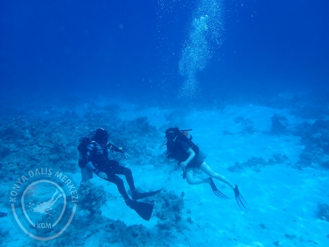 13-18 Mayıs Sharm