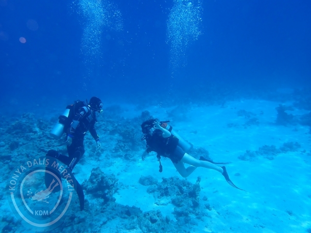 13-18 Mayıs Sharm