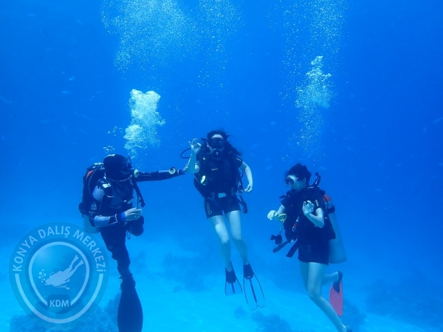 13-18 Mayıs Sharm