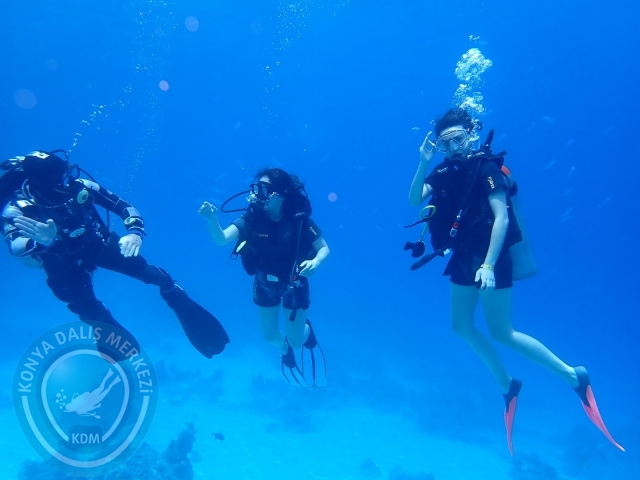 13-18 Mayıs Sharm