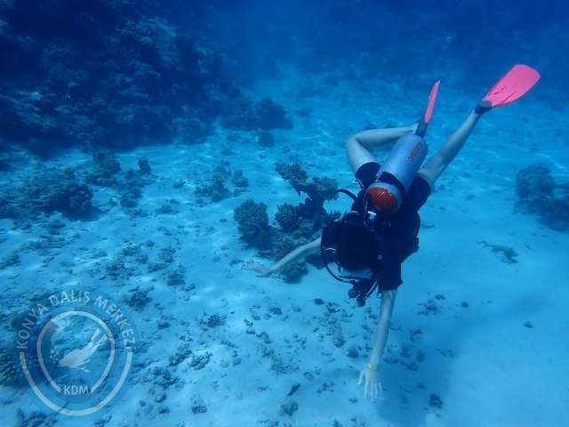 13-18 Mayıs Sharm