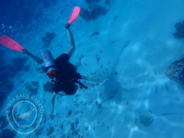 13-18 Mayıs Sharm