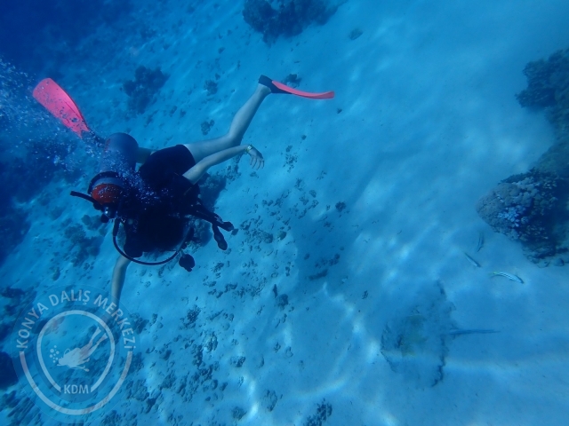13-18 Mayıs Sharm