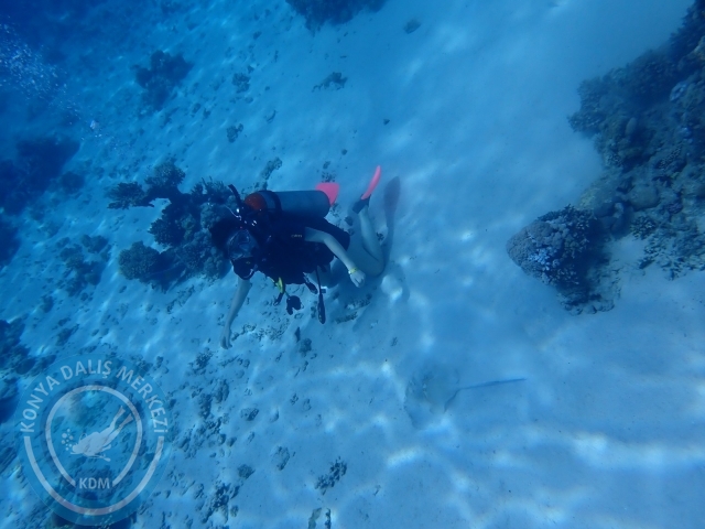 13-18 Mayıs Sharm