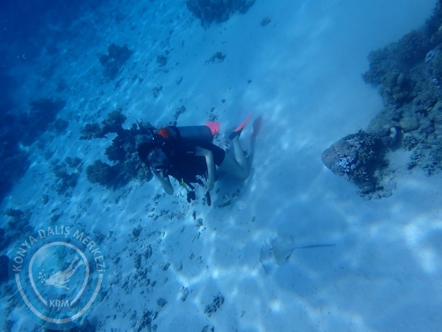 13-18 Mayıs Sharm