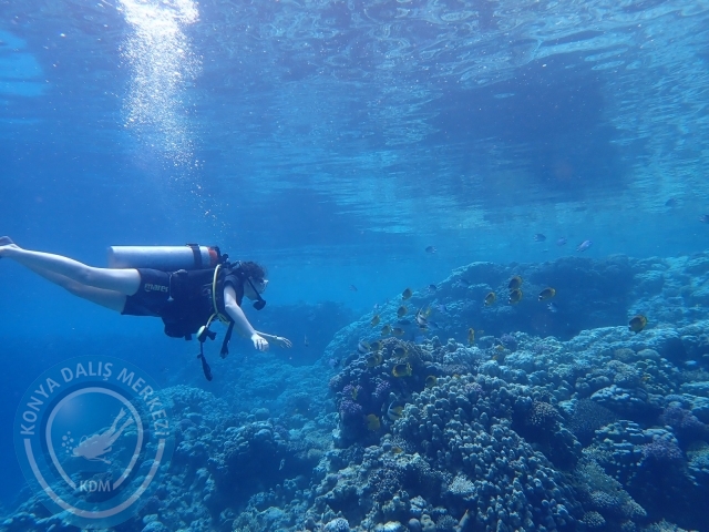 13-18 Mayıs Sharm