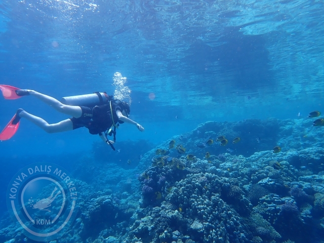 13-18 Mayıs Sharm