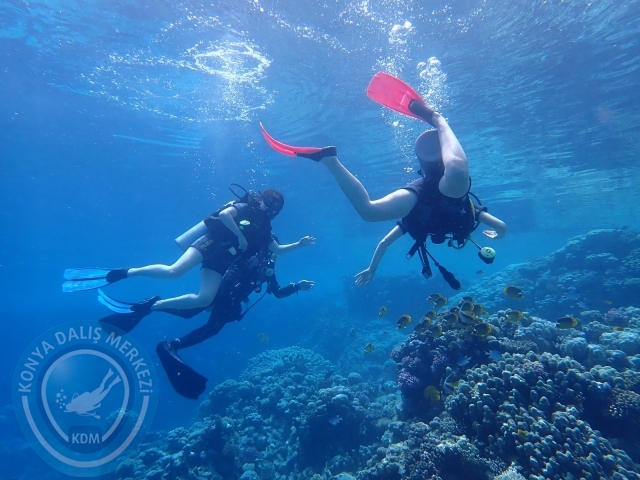 13-18 Mayıs Sharm