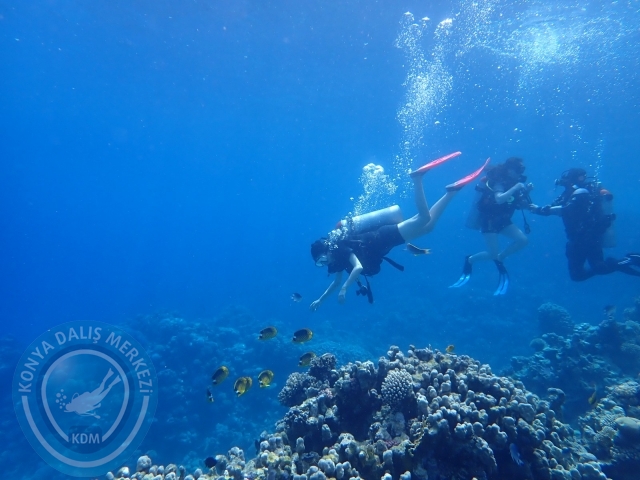 13-18 Mayıs Sharm