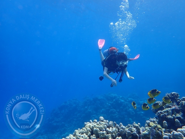 13-18 Mayıs Sharm