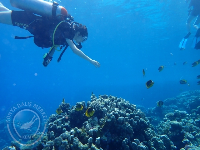 13-18 Mayıs Sharm
