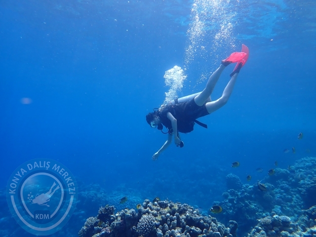 13-18 Mayıs Sharm