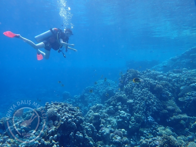 13-18 Mayıs Sharm