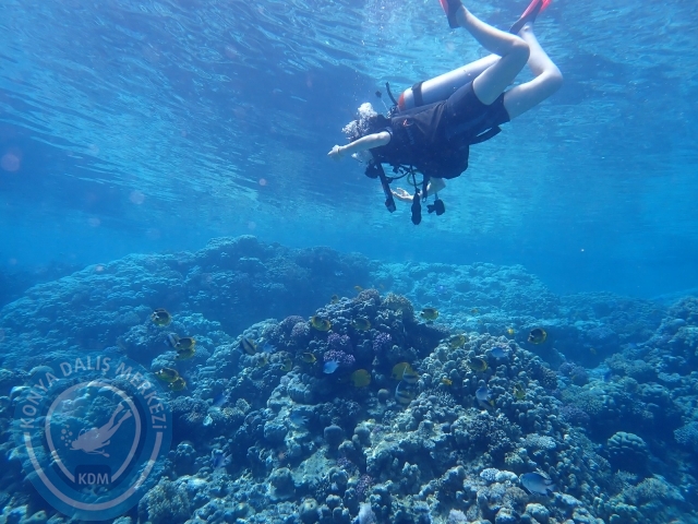 13-18 Mayıs Sharm