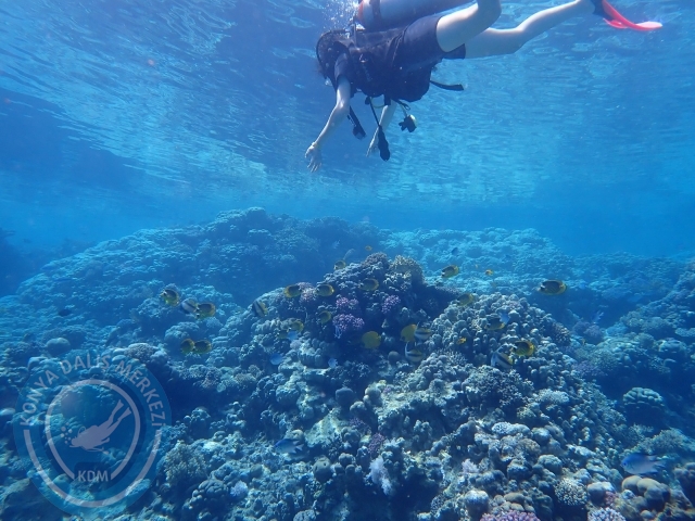 13-18 Mayıs Sharm