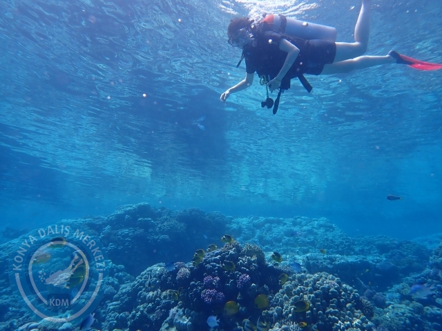 13-18 Mayıs Sharm