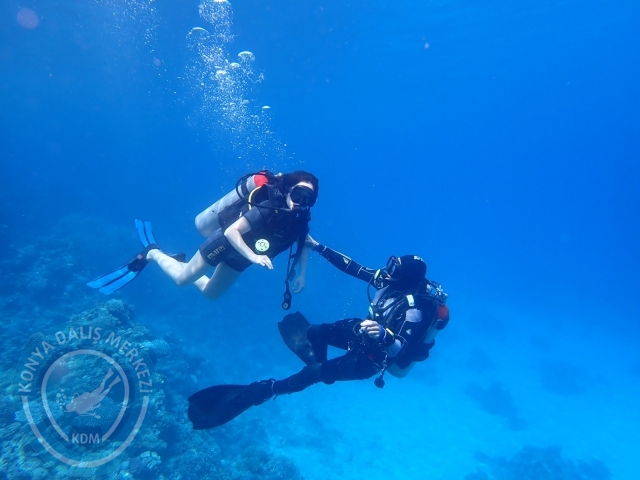 13-18 Mayıs Sharm