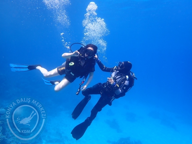 13-18 Mayıs Sharm