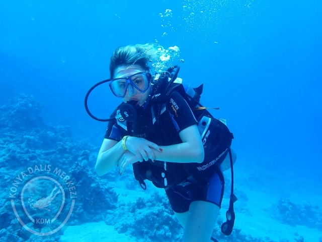 13-18 Mayıs Sharm