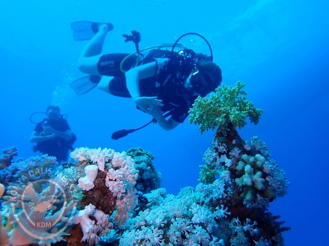 13-18 Mayıs Sharm