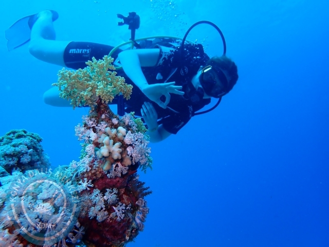 13-18 Mayıs Sharm