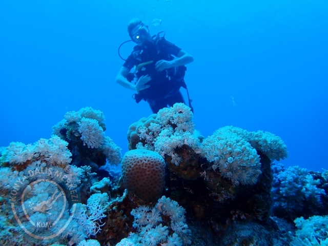 13-18 Mayıs Sharm