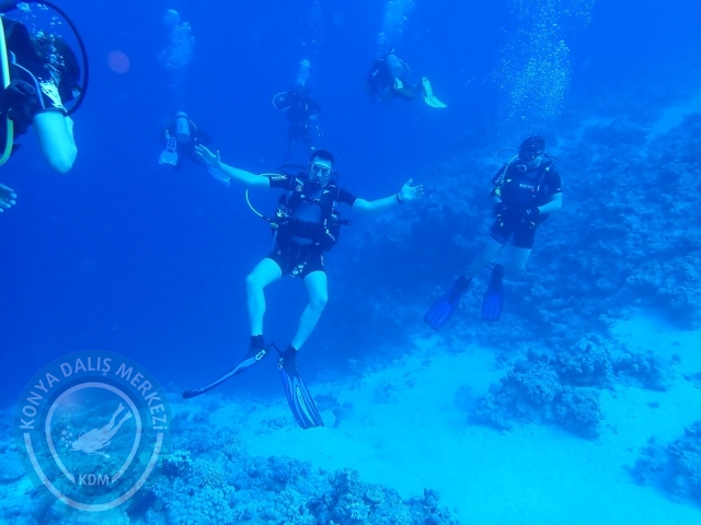 13-18 Mayıs Sharm