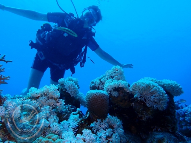 13-18 Mayıs Sharm