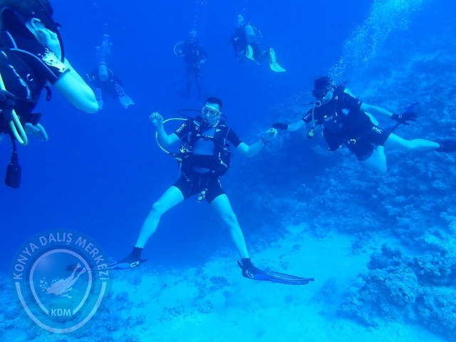 13-18 Mayıs Sharm